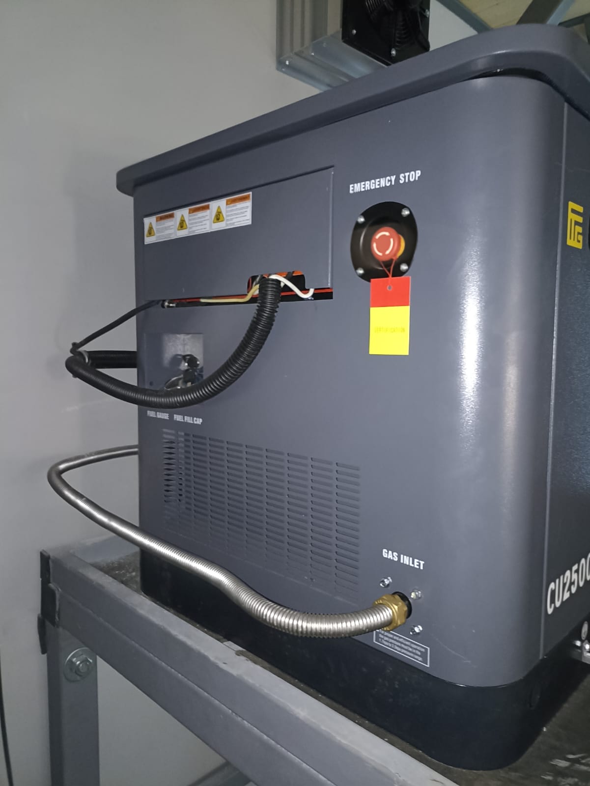 Газовый генератор CTG CU25000TSA
